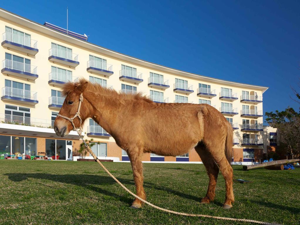 מלון מוטובו Marine Piazza Okinawa מראה חיצוני תמונה